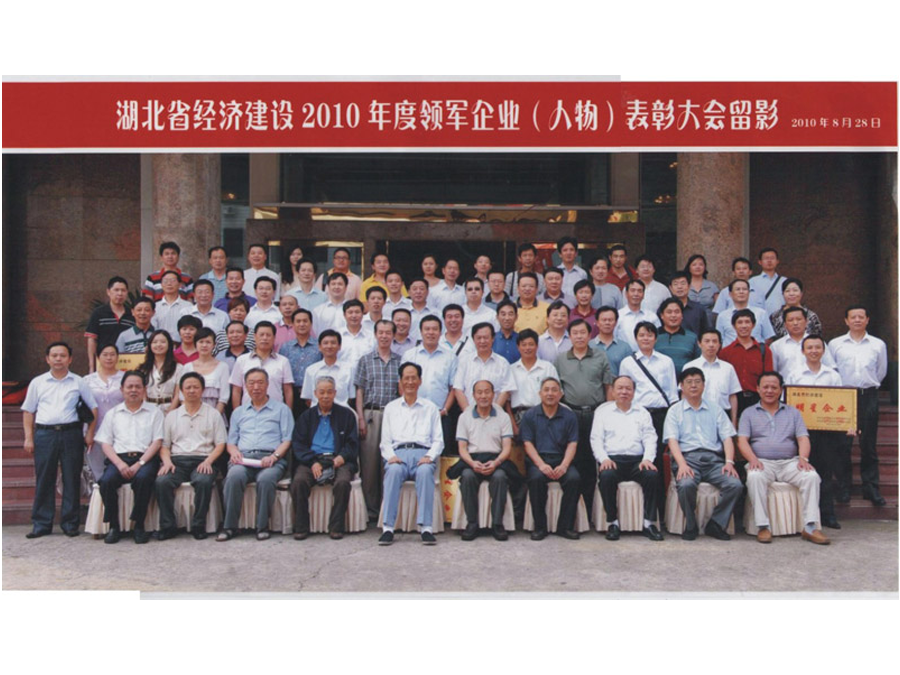 2010年度領(lǐng)軍企業(yè)（人物）表彰大會(huì)